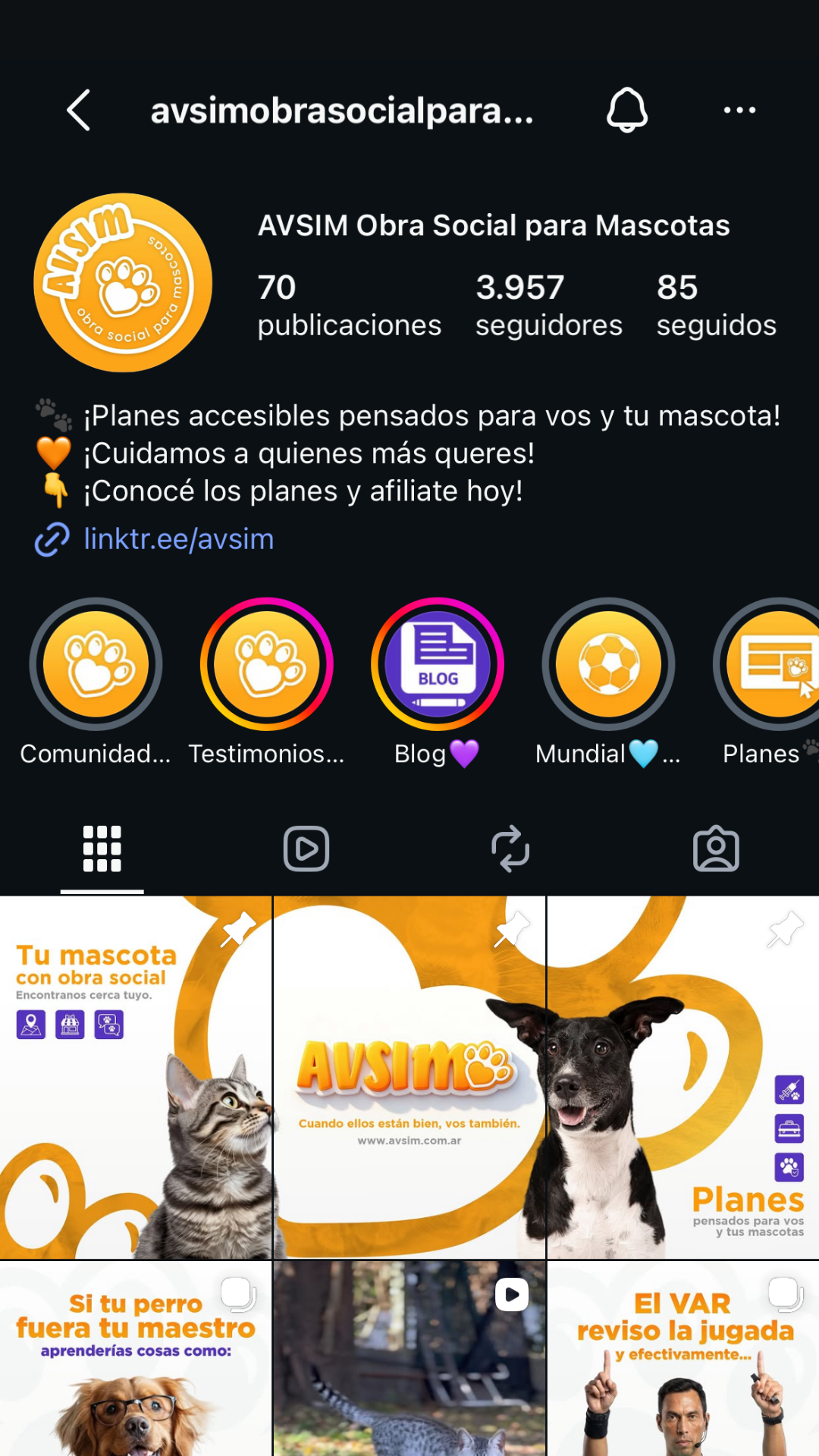 Feed de Instagram de AVSIM Obra Social para Mascotas